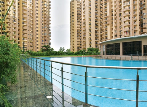 Paramount Floraville Sector 137 Noida 13 unnamed