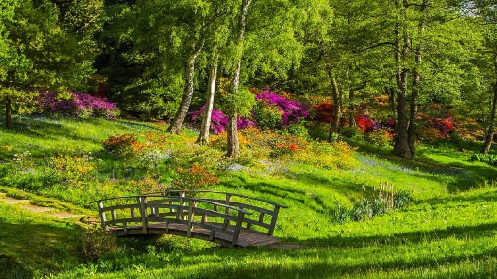 Is Living in Delhi-NCR Worth It Anymore? 5 greenery-place-in-delhi